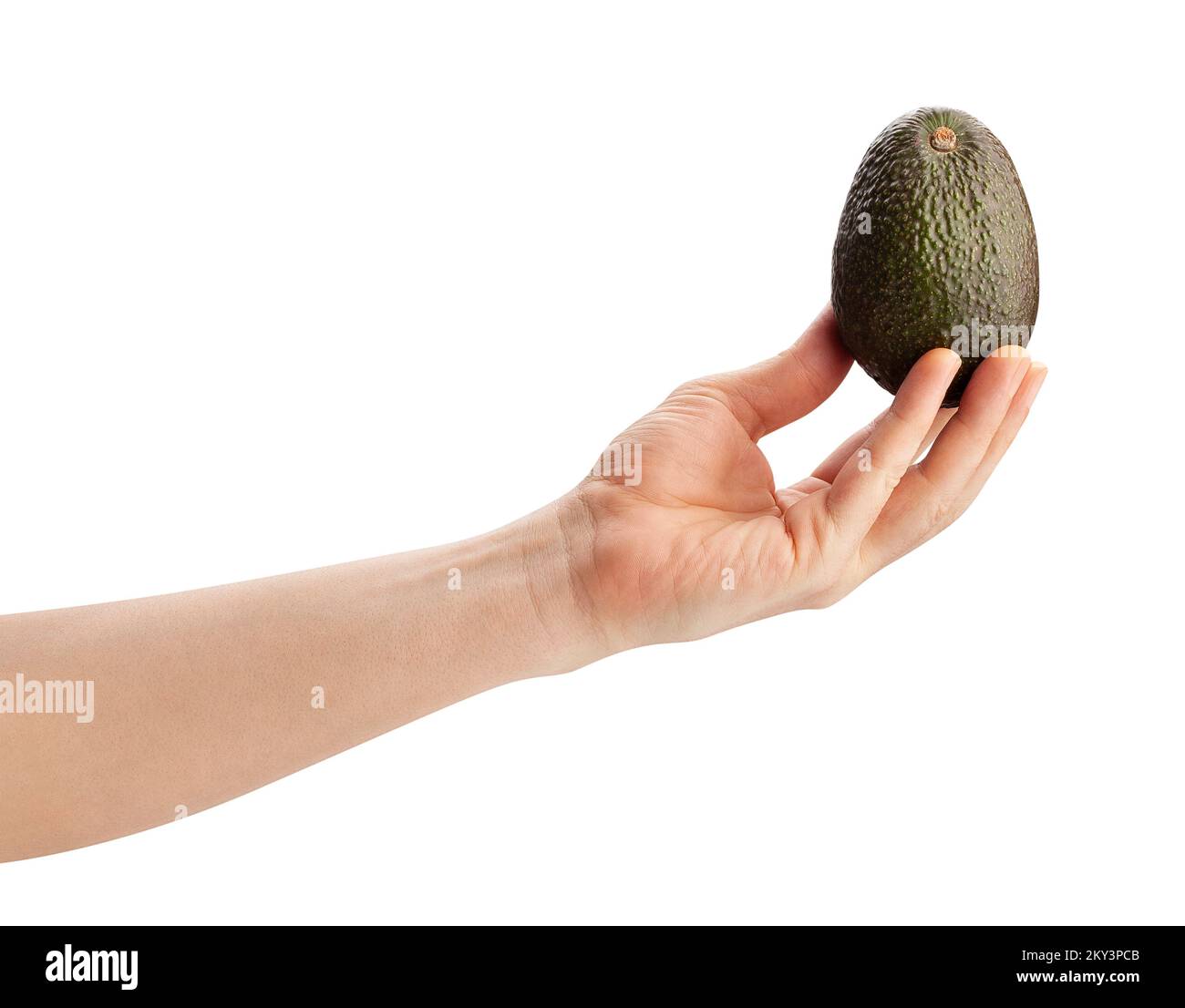 hass avocado in hand path isolated on white Stock Photo - Alamy