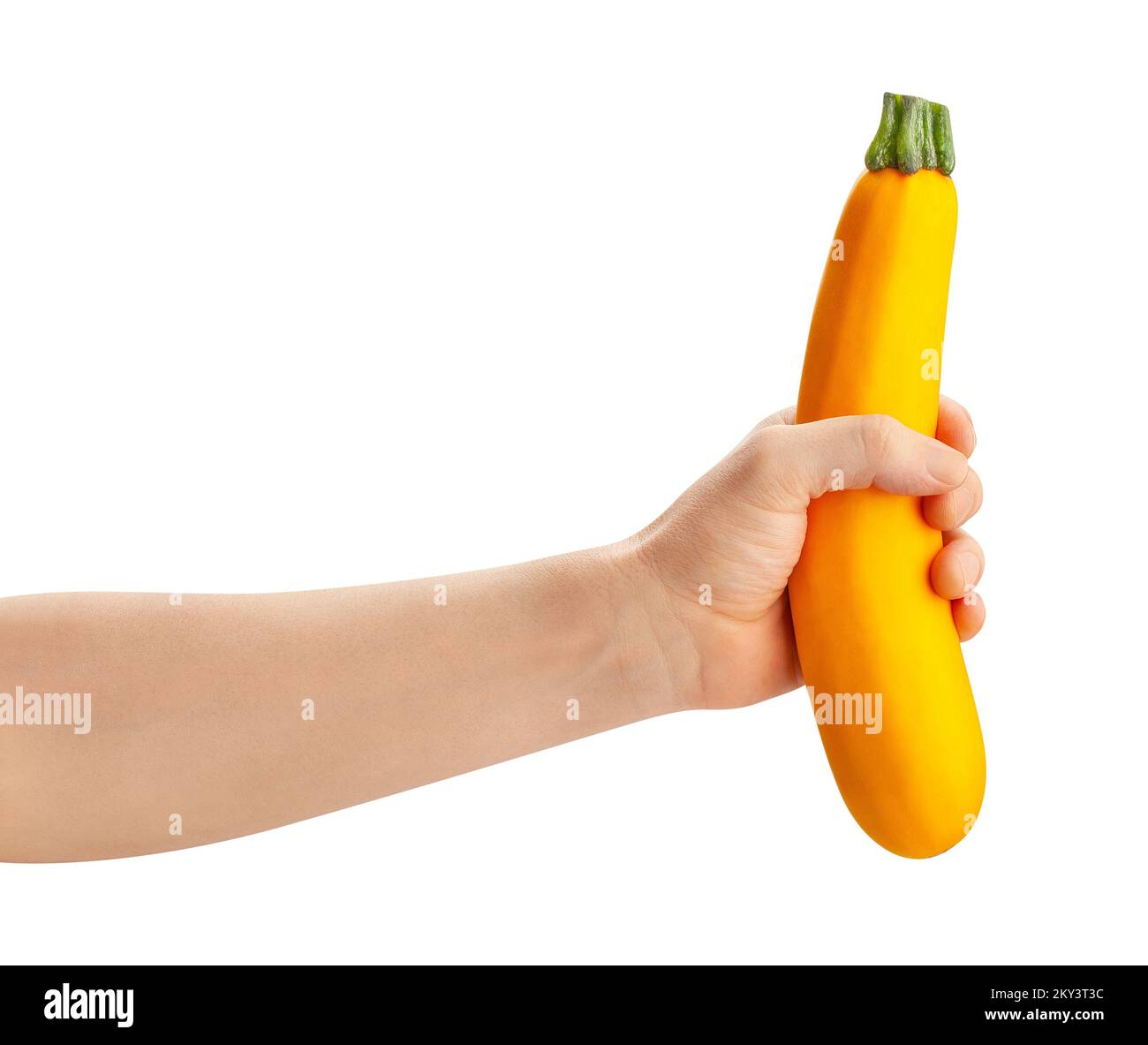 Zucchini in hand hi-res stock photography and images - Alamy Zucchini in hand hi-res stock photography and images - Alamy