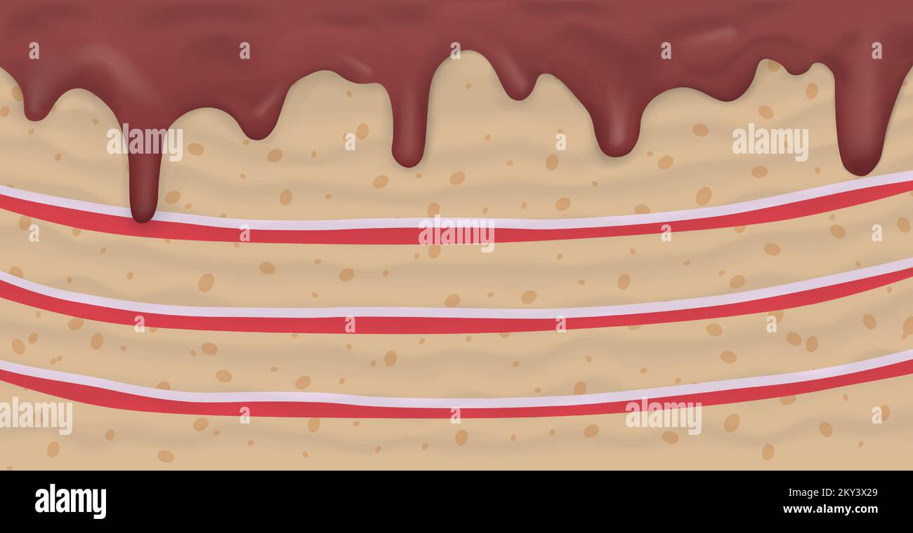 Panoramic background layer cake, food texture - Vector illustration Stock Vector