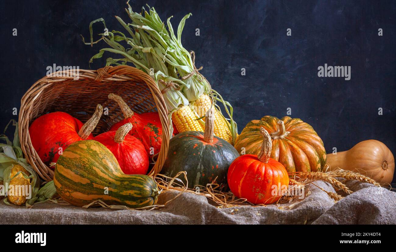 Autumn still life with pumpkin fruits of different colors and sizes and ...