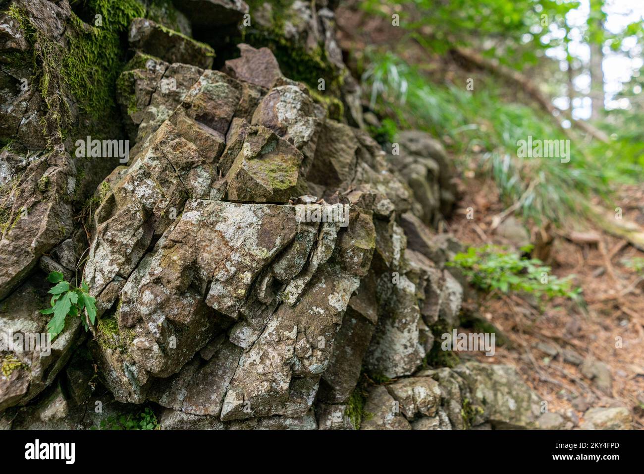 andesite is volcanic rock which you can find also in Slovenia Stock Photo