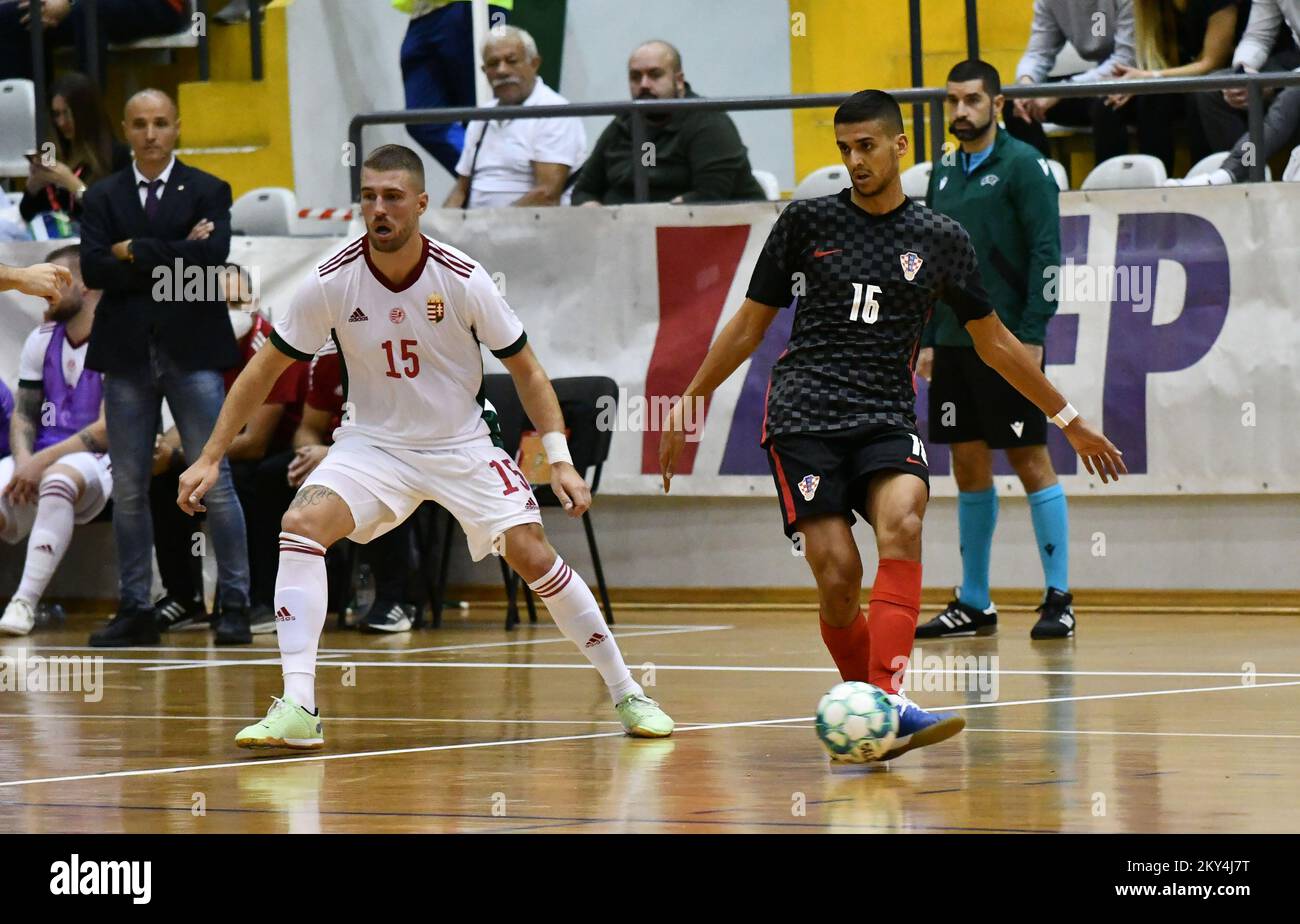 Marko Kuraja of Croatia and Patrik Pal of Hungary during the FIFA