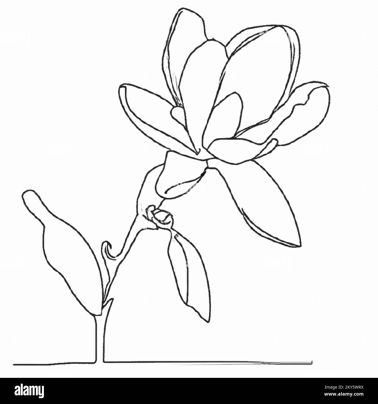 Illustration of a one-line minimalistic doodle sketch of a flower on a plain white background, a simple drawing suitable for a coloring book for child Stock Photo