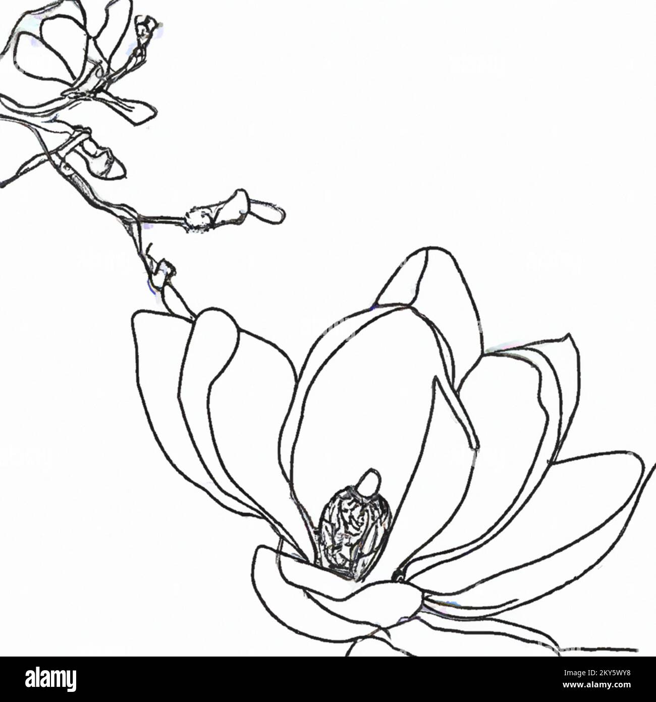 Illustration of a one-line minimalistic doodle sketch of a flower on a plain white background, a simple drawing suitable for a coloring book for child Stock Photo