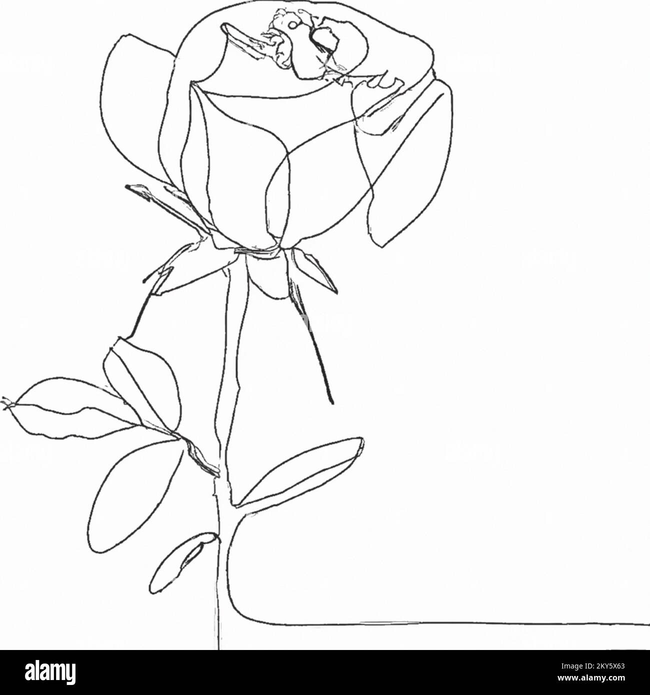 Illustration of a one-line minimalistic doodle sketch of a flower on a plain white background, a simple drawing suitable for a coloring book for child Stock Photo