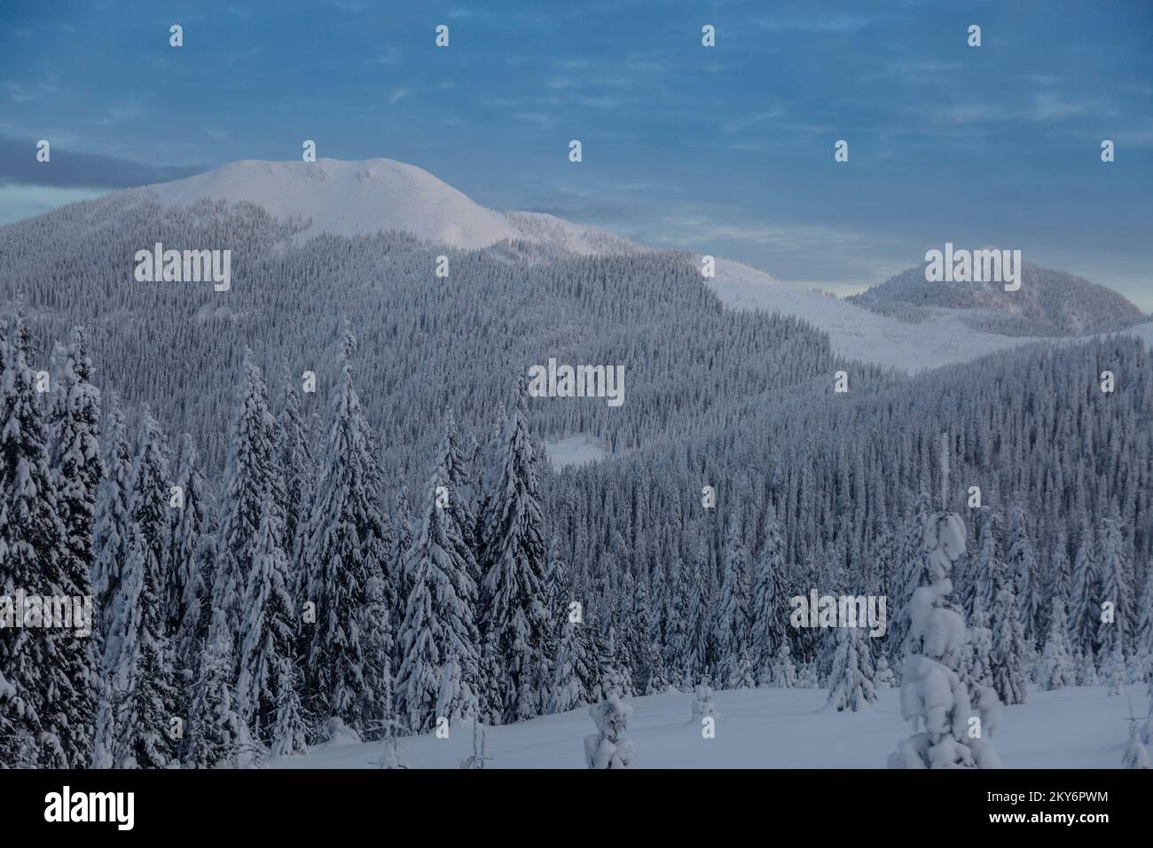Alpine mountains landscape with white snow and blue sky. Frosty trees ...
