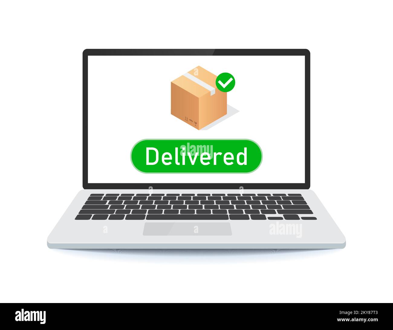 online order with check mark on laptop icon vector, parcel