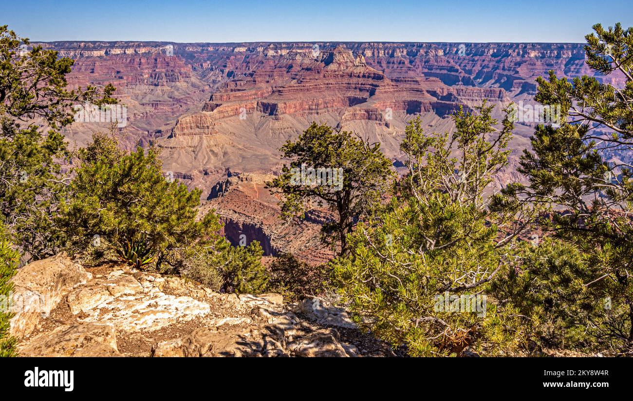 Grand Canyon Arizona South Rim near Mather Point Stock Photo - Alamy