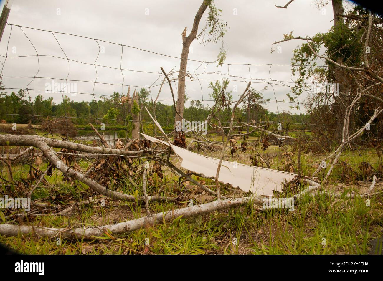 Tornado damage in Alabama. Alabama Severe Storms, Tornadoes, Straight