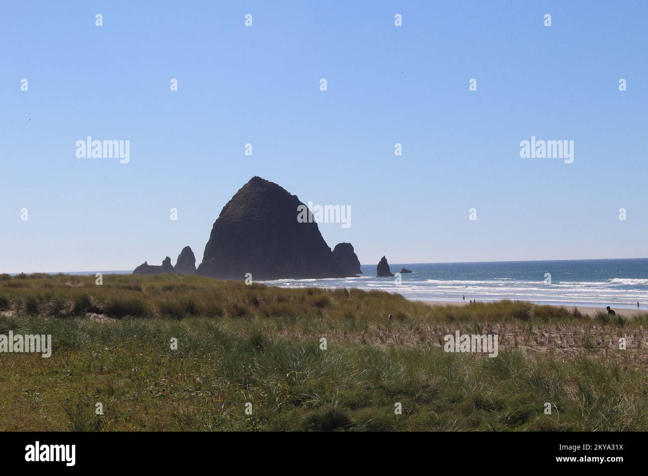 Oregon coast tsunami zones
