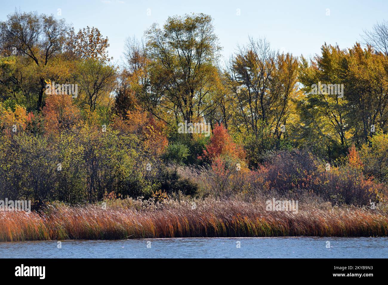 Bloomingdale, Illinois, USA. The beauty and color of the autumn season in evidence around a lake at a protected forest preserve area. Stock Photo
