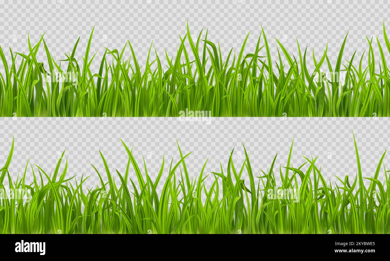Seamless grass, realistic green lawn horizontal pattern isolated on transparent background. Summer or spring meadow texture, herbs tile, lush grassy blades, landscape borders, 3d vector illustration, Stock Vector