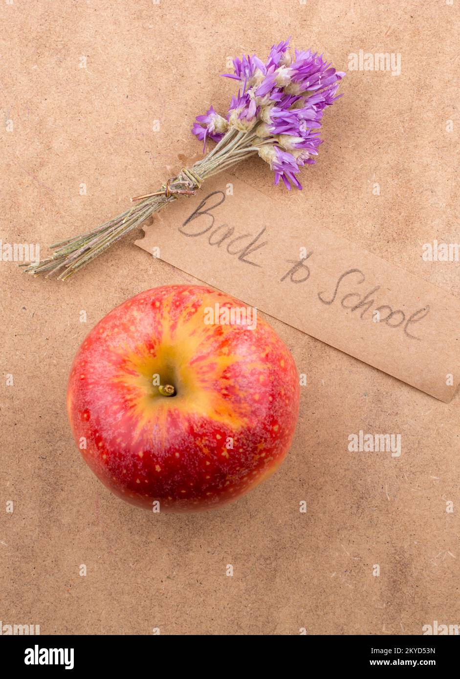 Back to school lettering with an apple and flower Stock Photo Alamy