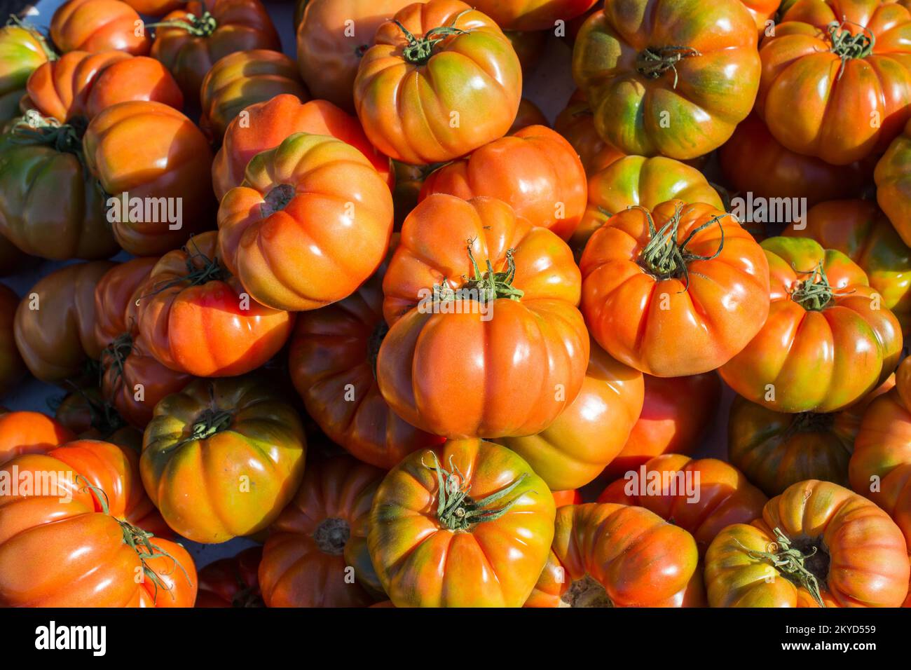 Tasty fresh tomatos at the market in view Stock Photo - Alamy