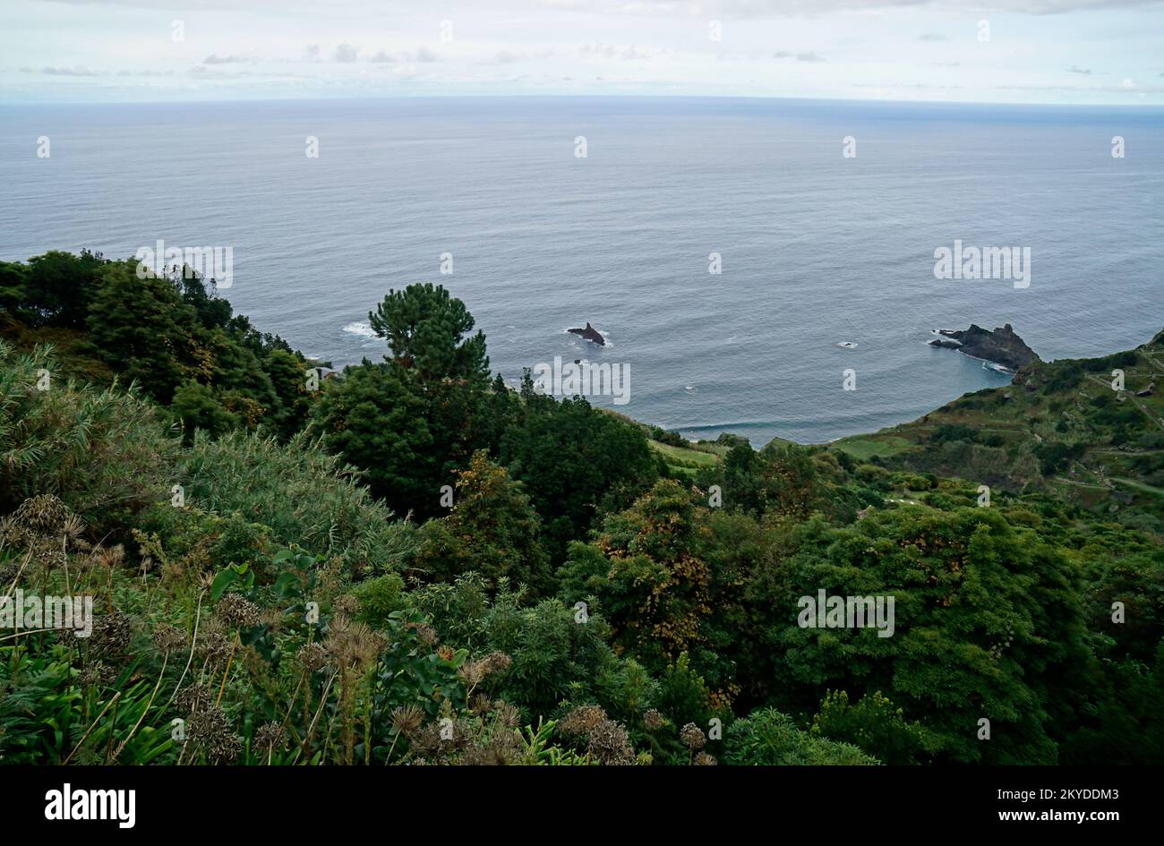 scenic coast view on mediera island on a foggy day Stock Photo - Alamy