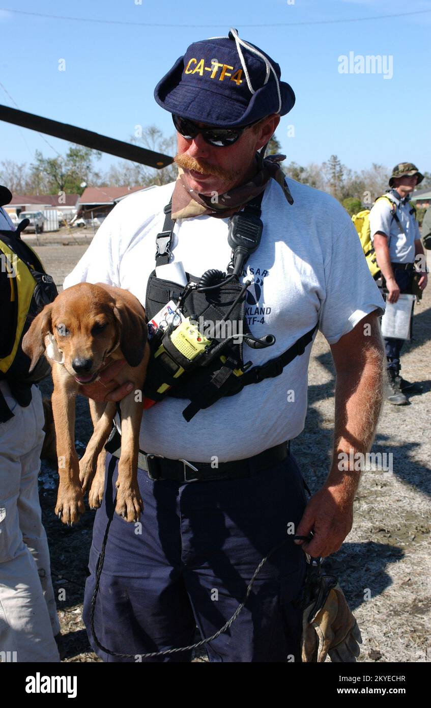 Hurricane Katrina, New Orleans, LA, September 7, 2005 -- A FEMA Urban Search and Rescue member picks up a stranded dog found in areas impacted by Hurricane Katrina where the teams where doing rescue operations. Jocelyn Augustino/FEMA Stock Photo