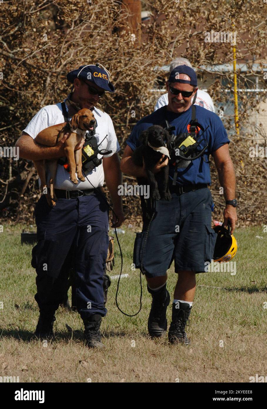 Hurricane Katrina, New Orleans, LA, September 7, 2005 -- A FEMA Urban Search and Rescue member picks up a stranded dog found in areas impacted by Hurricane Katrina where the teams where doing resuce operations. Jocelyn Augustino/FEMA Stock Photo