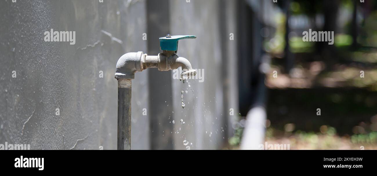 Tap garden water for use in watering plants in the garden Stock Photo
