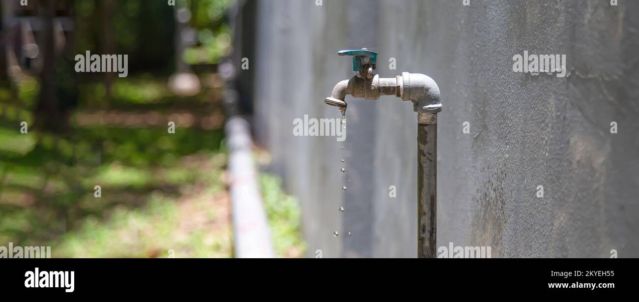 Tap garden water for use in watering plants in the garden Stock Photo