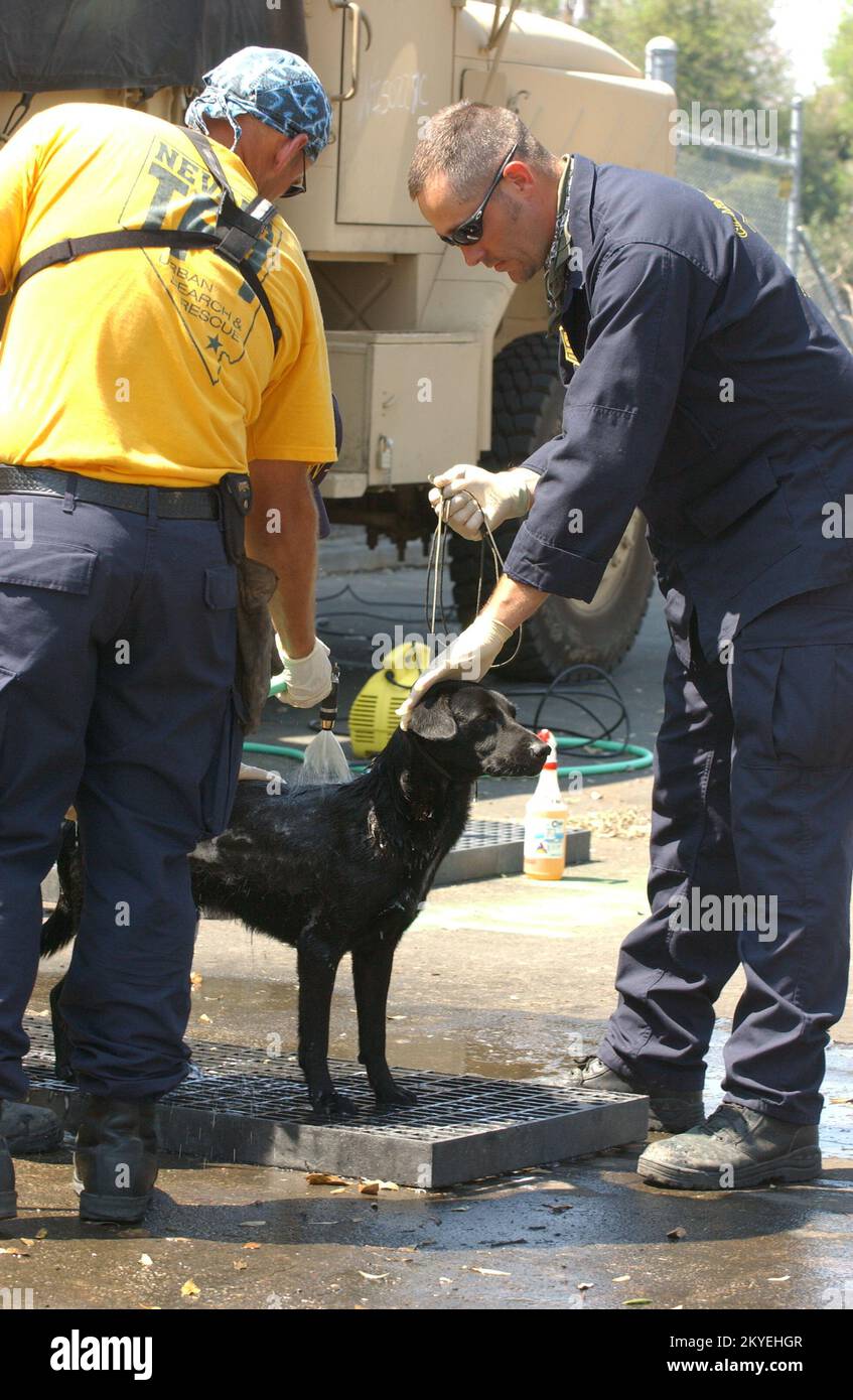 Hurricane Katrina, New Orleans, LA, September 12, 2005 - Members of FEMA Urban Search and Rescue Nevada Task Force One decontaminate a dog that was with his owner in an area affected by Hurricane Katrina. Jocelyn Augustino/FEMA Stock Photo