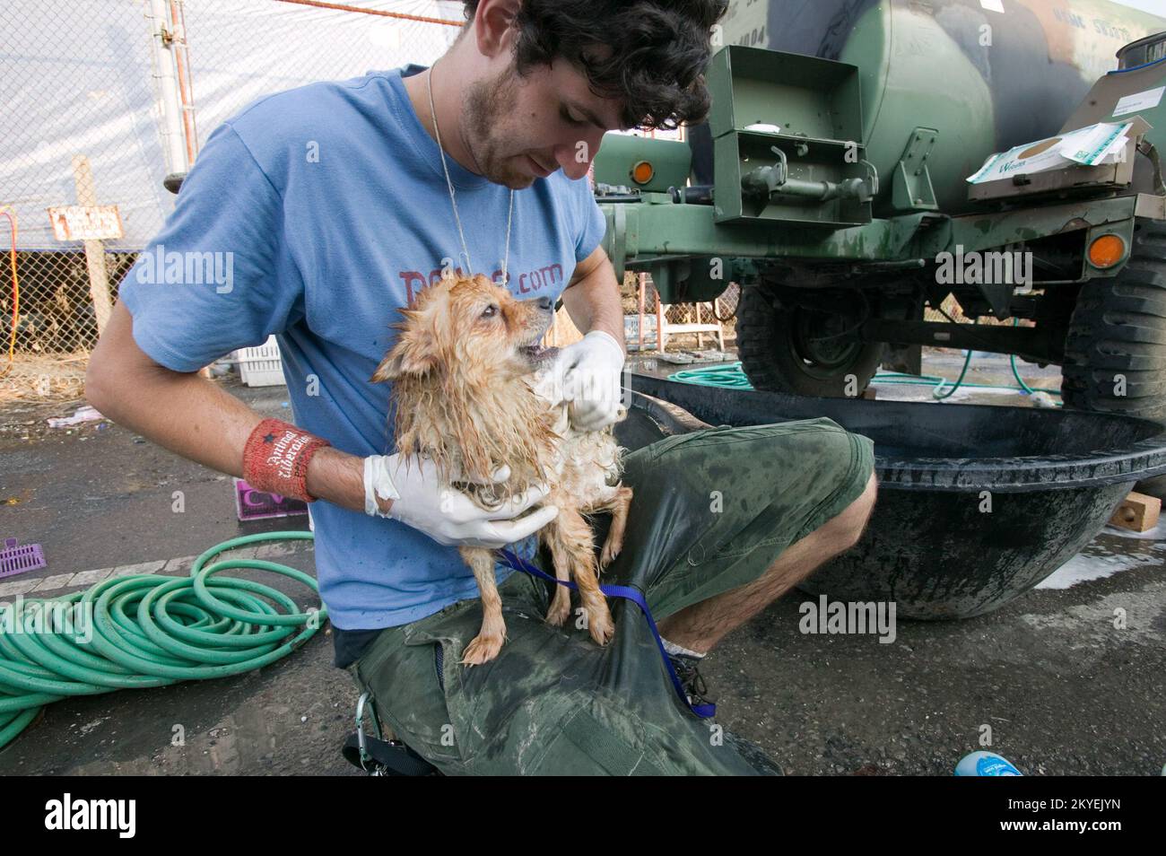 Pet relief area hi-res stock photography and images - Alamy