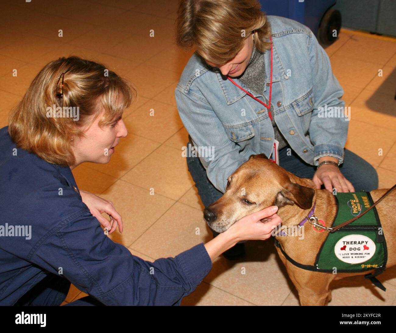 Hurricane Katrina, Baton Rouge, LA, December 19, 2005 - 'Janie' is one of 12 Hope Crisis Response therapy dogs visiting displaced hurricane victims and relief workers throughout the New Orleans area. She is based at the Joint Field Office in Baton Rouge. Robert Kaufmann/FEMA Stock Photo