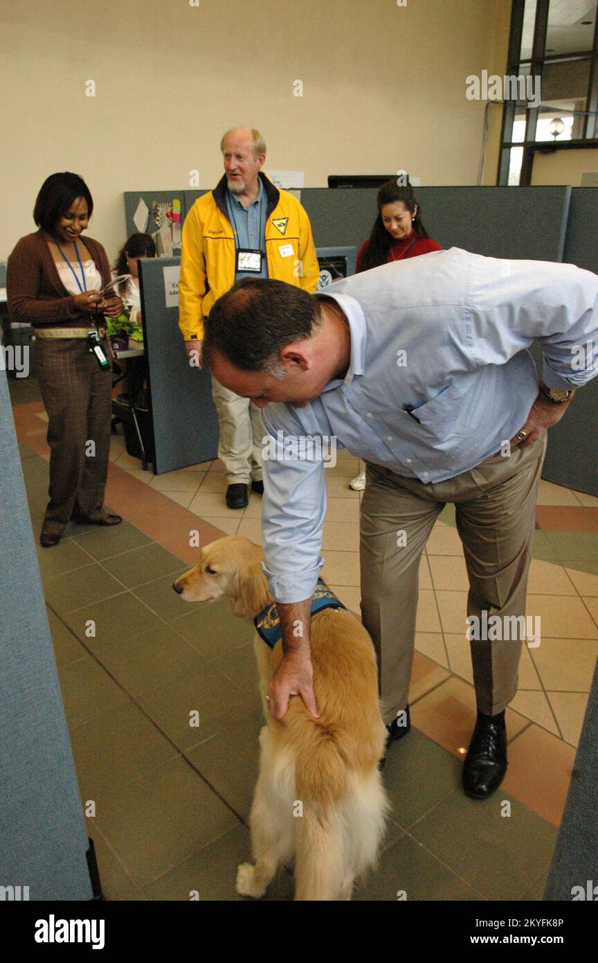 Hurricane Katrina, Biloxi, Miss., February 20, 2006 -- FEMA Federal Coordinating Officer (FCO) Nick Russo greets Crisis Response K-9 Chaplain Georgie during her visit to the Joint Field Office in Biloxi. Georgie and her escort Chaplain Ralph Buchhorn (yellow jacket) have been visiting residents affected by Hurricane Katrina. Mark Wolfe/FEMA Stock Photo