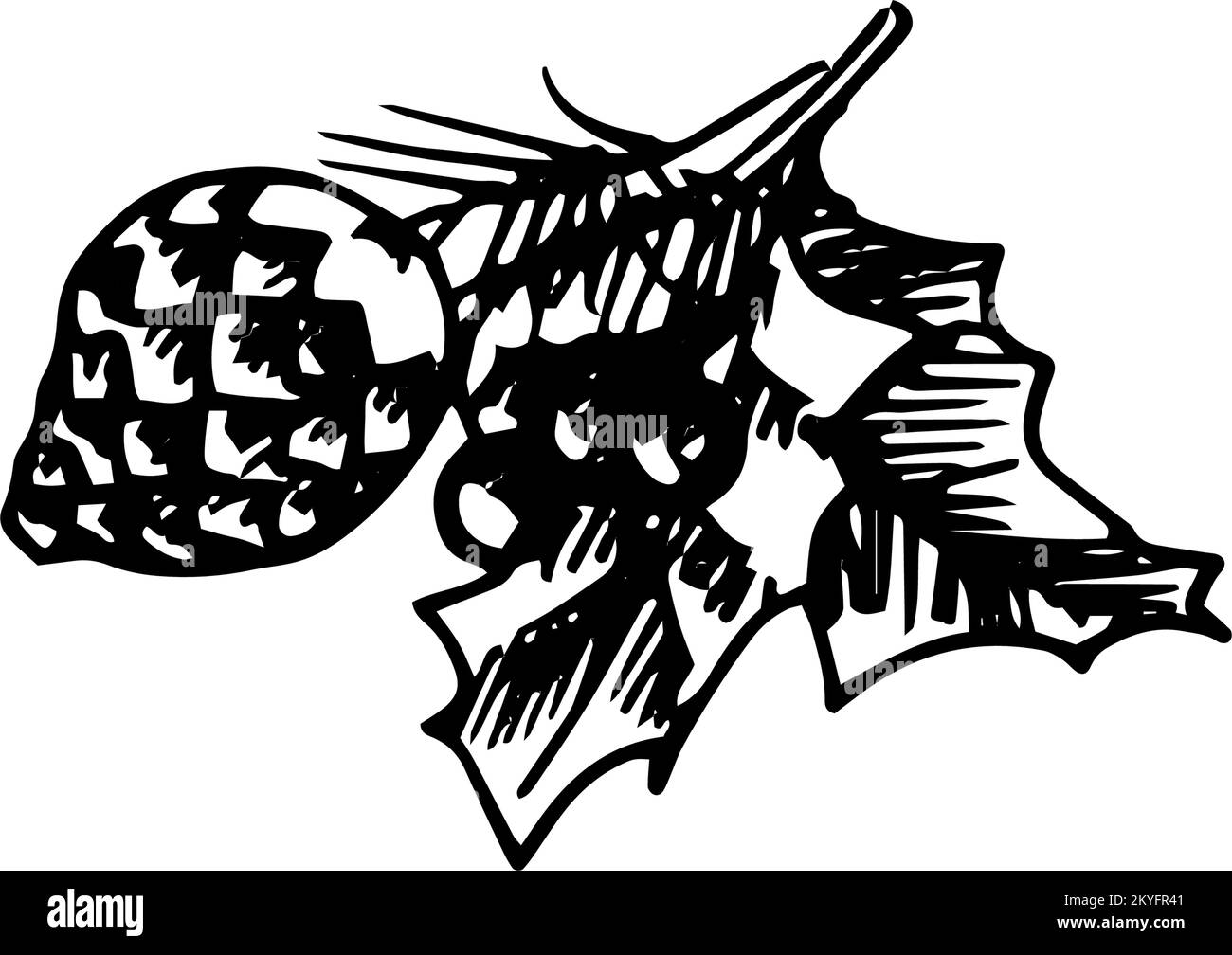 Hand Drawing Artistic Christmas Doodle Icon. Pine Cone and Fir-needles. New Year Vintage Design for Christmas Card or Invitation on White Stock Vector
