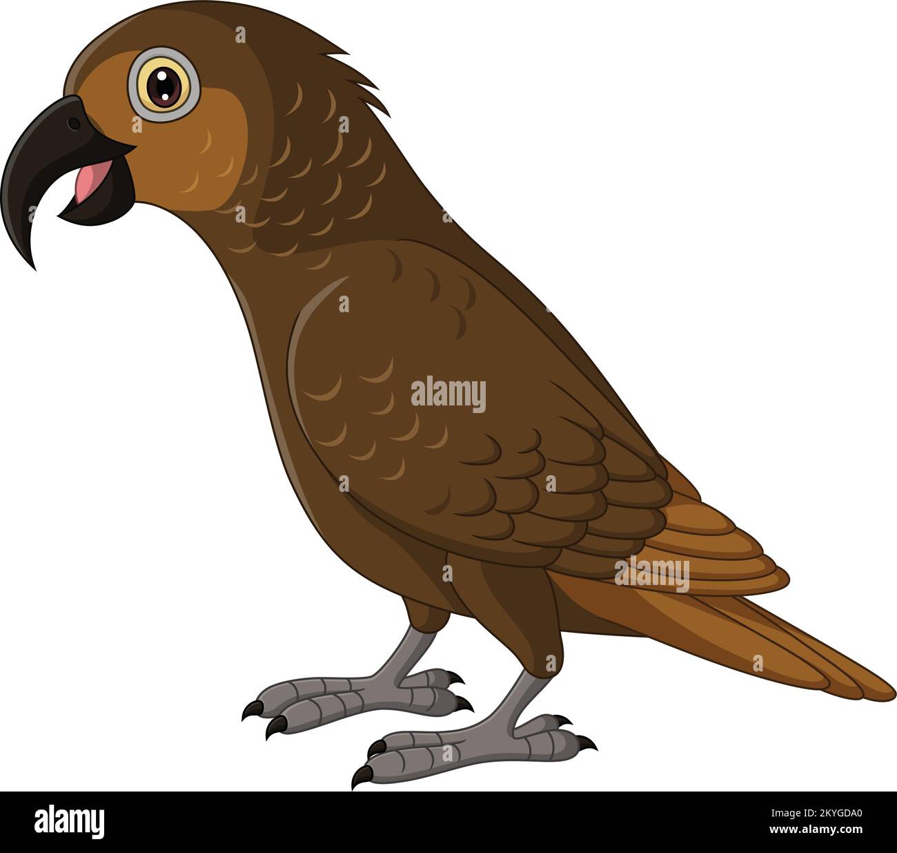 Cartoon Kaka Bush Parrot on White Background Stock Vector