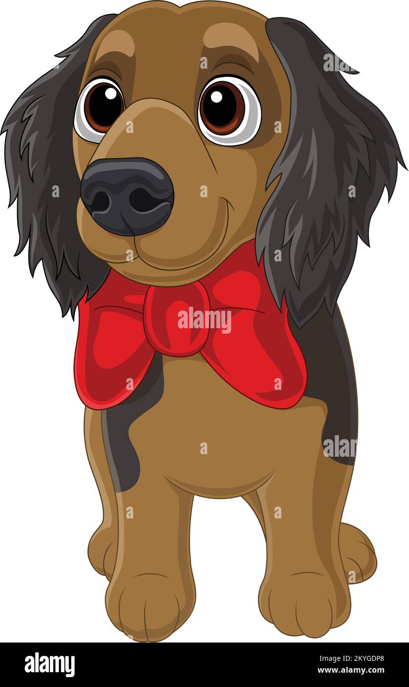 Cavalier king charles spaniel with red bow tie Stock Vector Image & Art ...