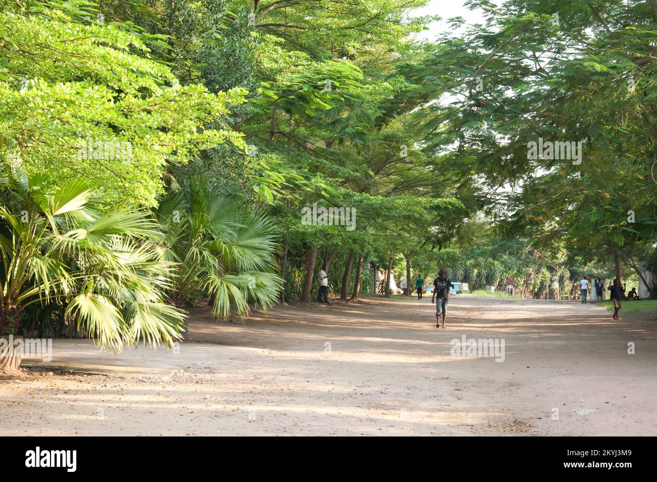 Quiet, leafy road, Kinshasa, Democratic Republic of the Congo. Stock Photo