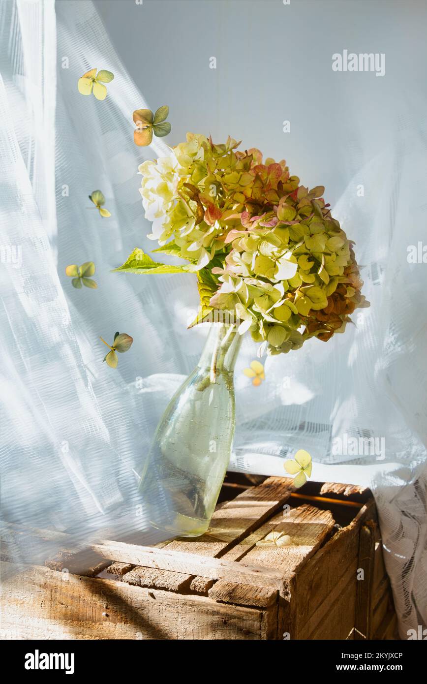 Falling vase with hydrangea Stock Photo Alamy