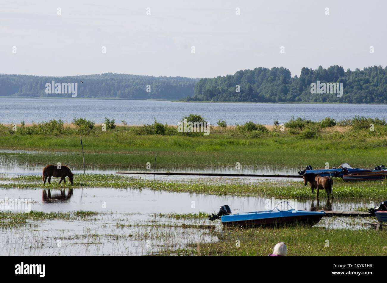 North shoal lake hi-res stock photography and images - Alamy