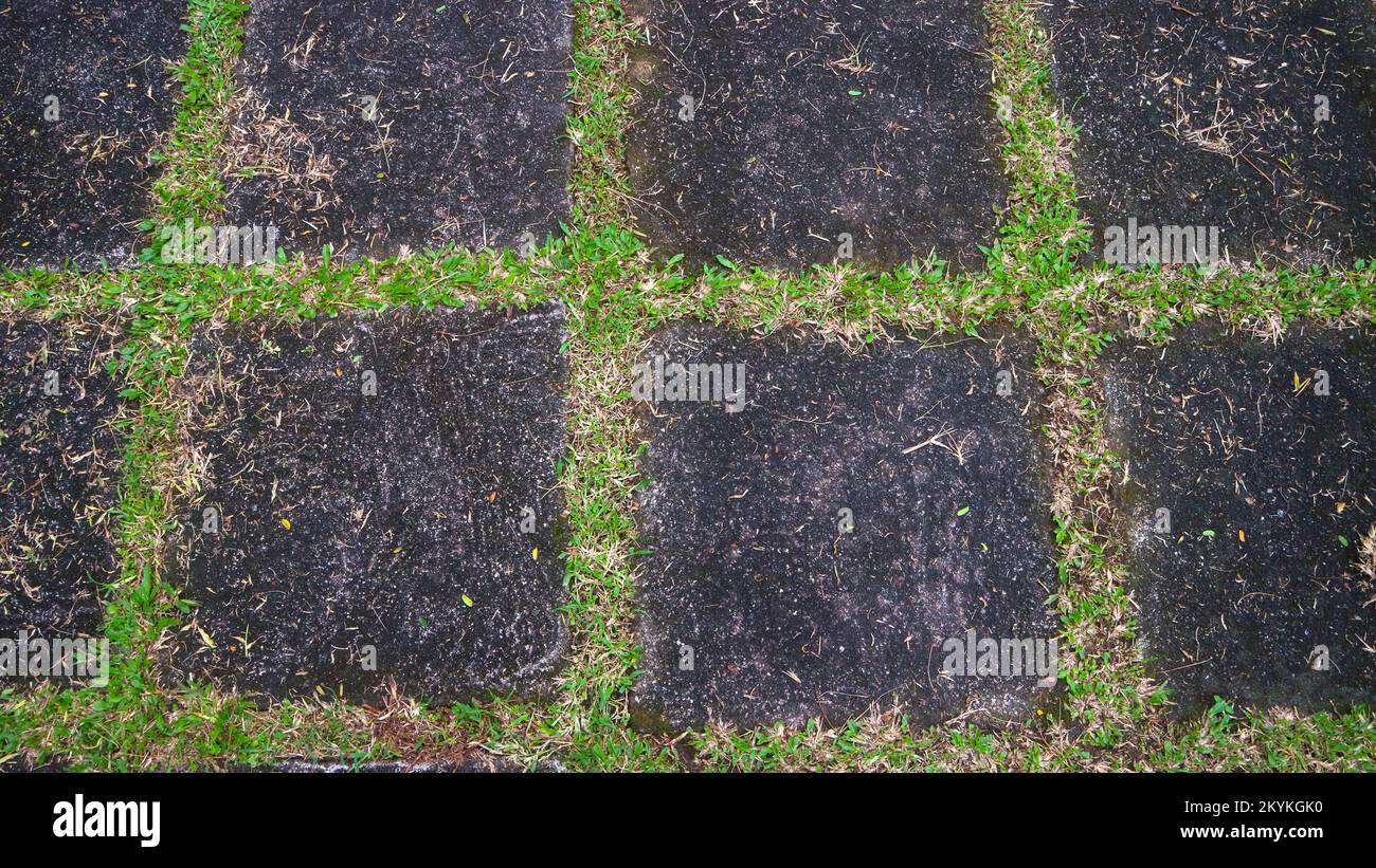 Block Road Example concrete block road with green grass in between. as background Stock ...