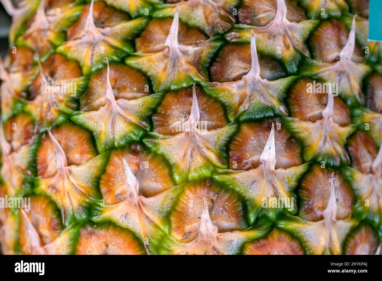 Close Up Pineapple At Amsterdam The Netherlands 29112022 Stock Photo Alamy