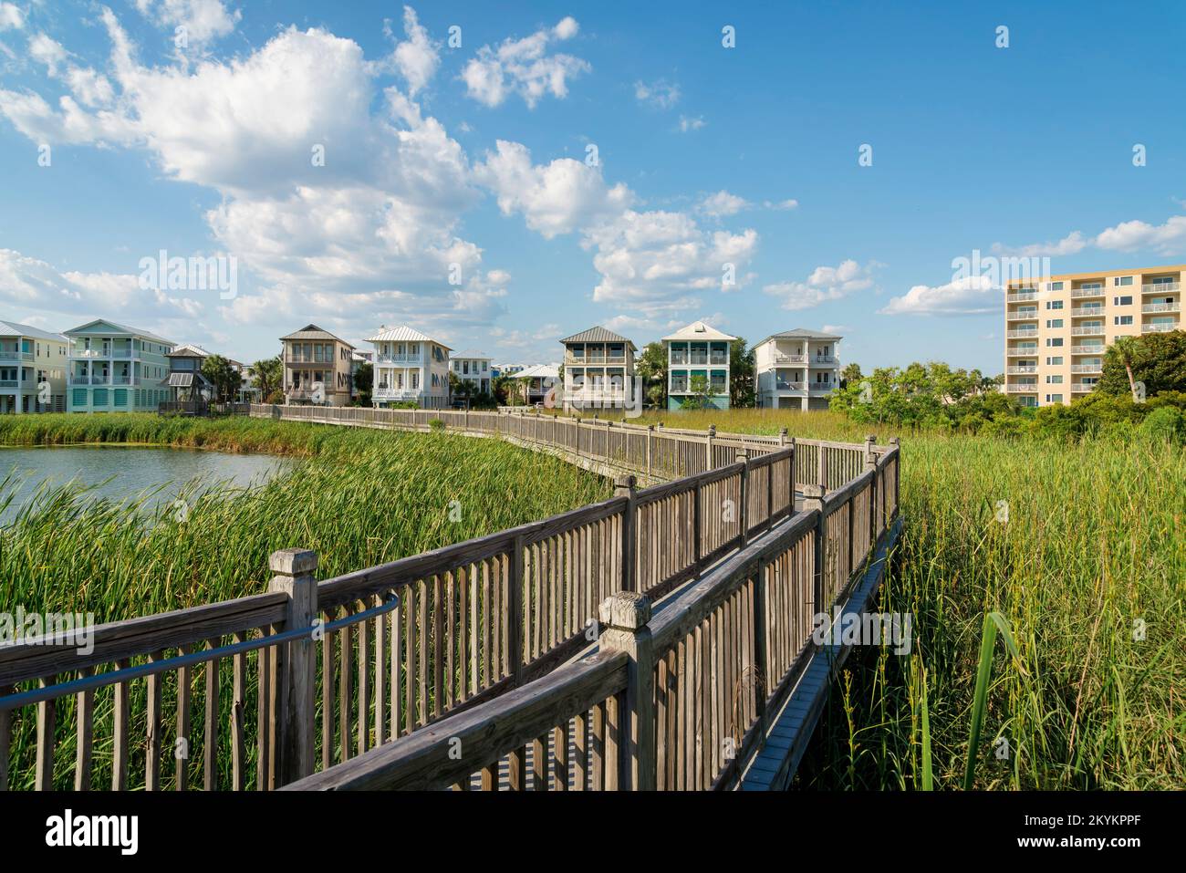 Boardwalk Hand Rails Destin, Florida- Pathway with wood handrails above the lake with tall ...