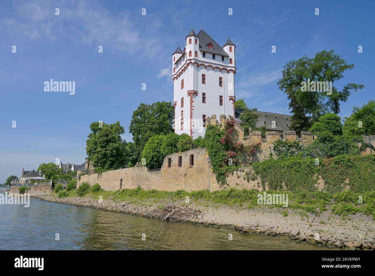 Rhein, Wehrturm, Kurfürstliche Burg, Eltville, Hessen, Deutschland Stock Photo