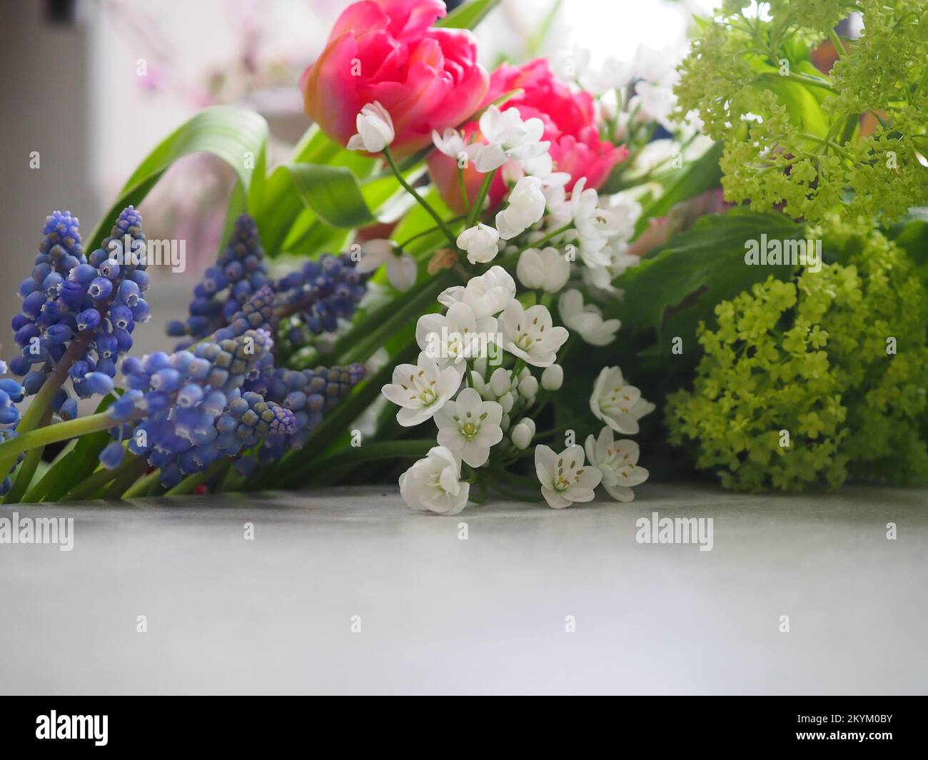 Close up of a variety of cut spring flowers lying on a counter Stock Photo
