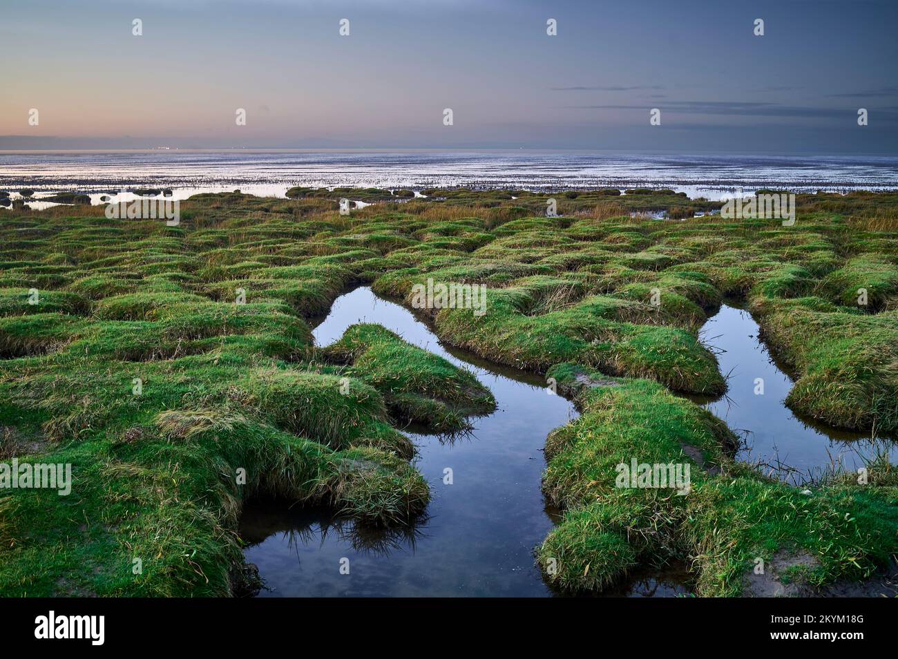 Salt marshes on Morecambe Bay at dusk in winter Stock Photo