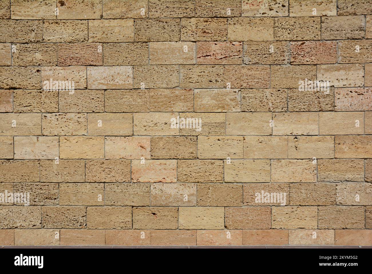 Shell limestone wall texture background with copy space. Yellow