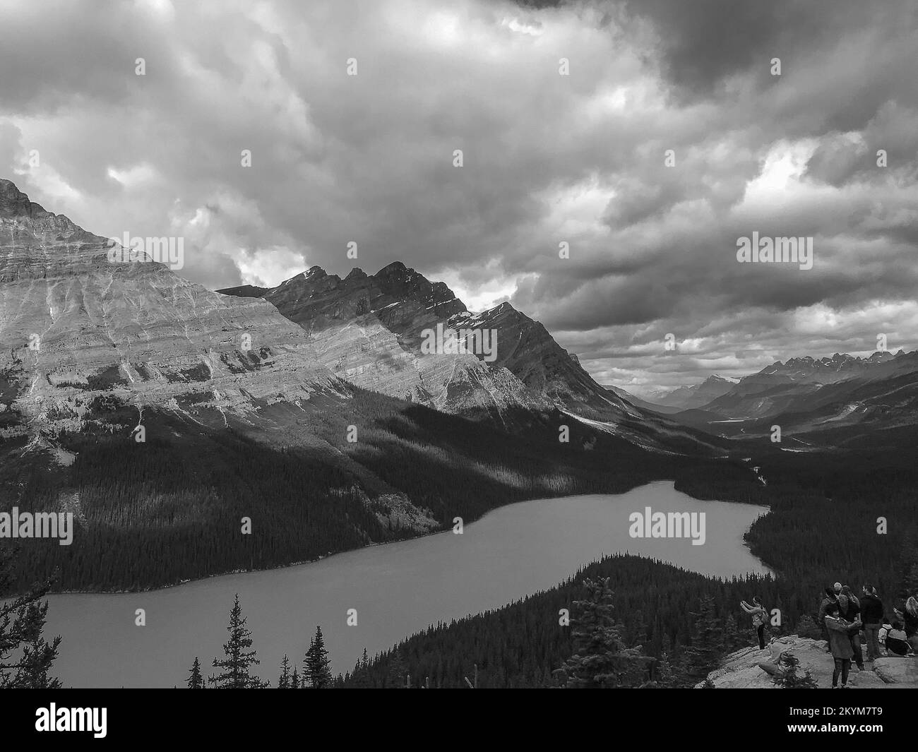 black and white picture of lake peyto in banff canada Stock Photo - Alamy