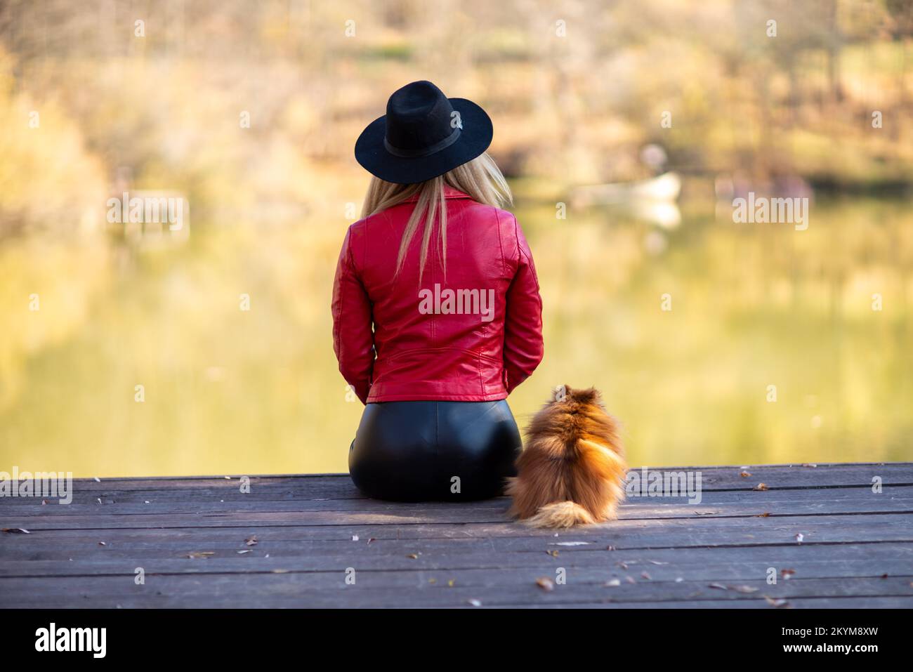 Girl lake autumn dog. A woman sits near a pond in autumn with a spitz dog. Stock Photo