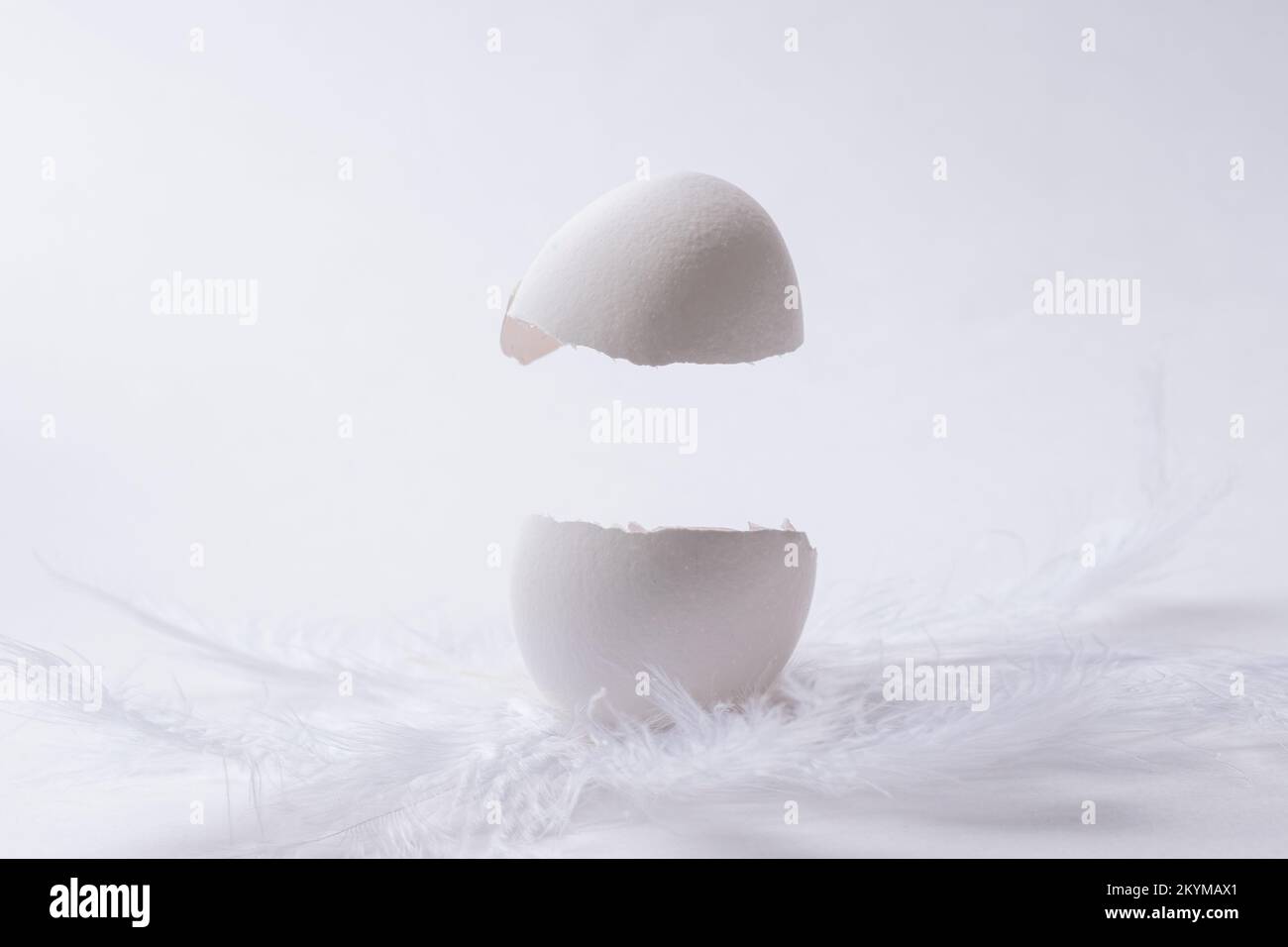 Cracked white natural Easter egg in feathers on a light background, copy space. Levitation of half of a cracked eggshell. Creative Easter concept Stock Photo