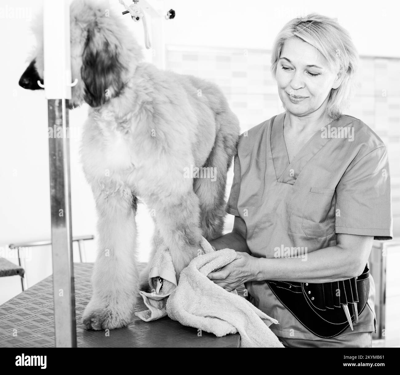 Hairy woman Black and White Stock Photos & Images Alamy