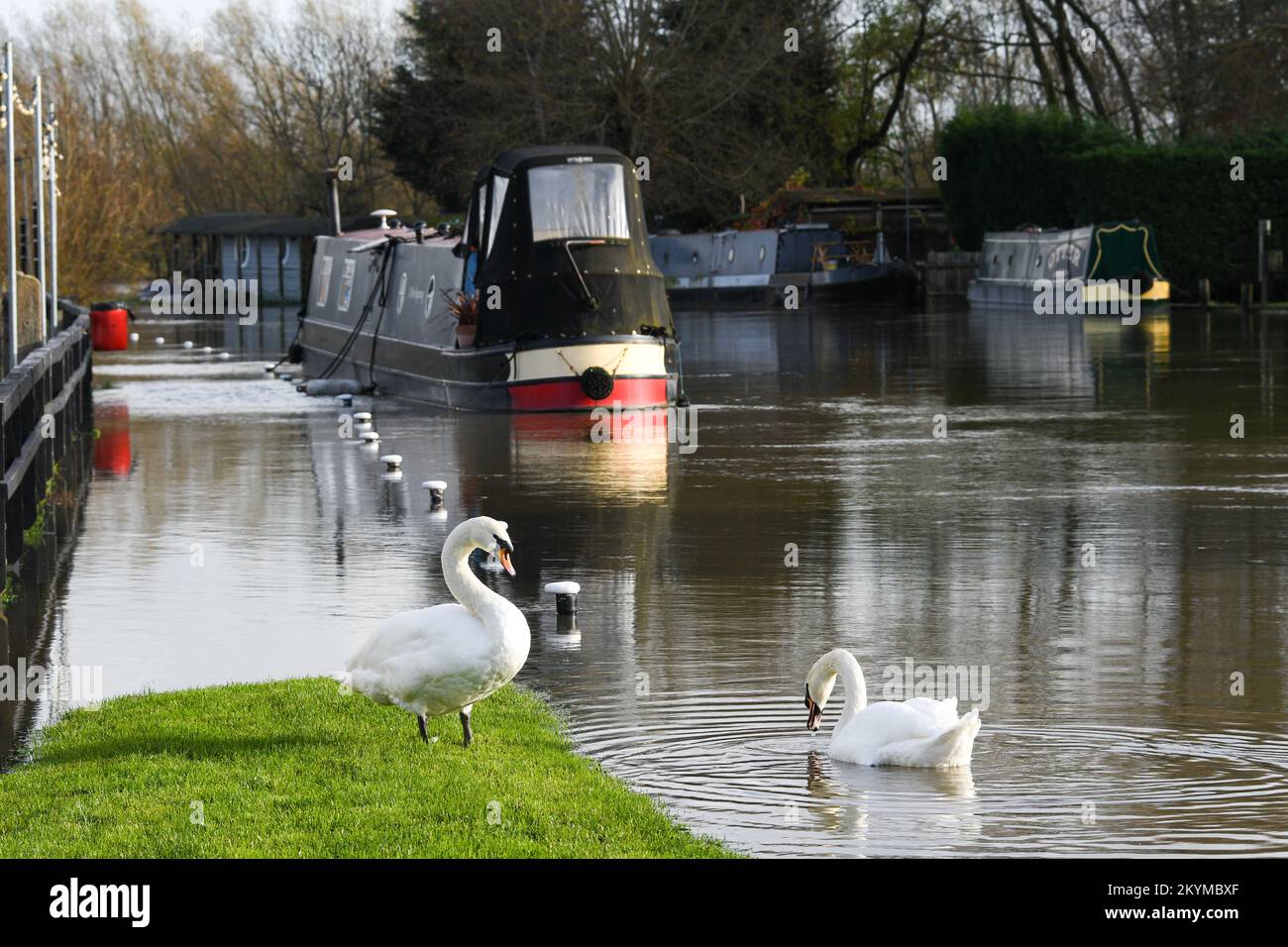 flooding on the river soar in mountsorrel leicestershire Stock Photo