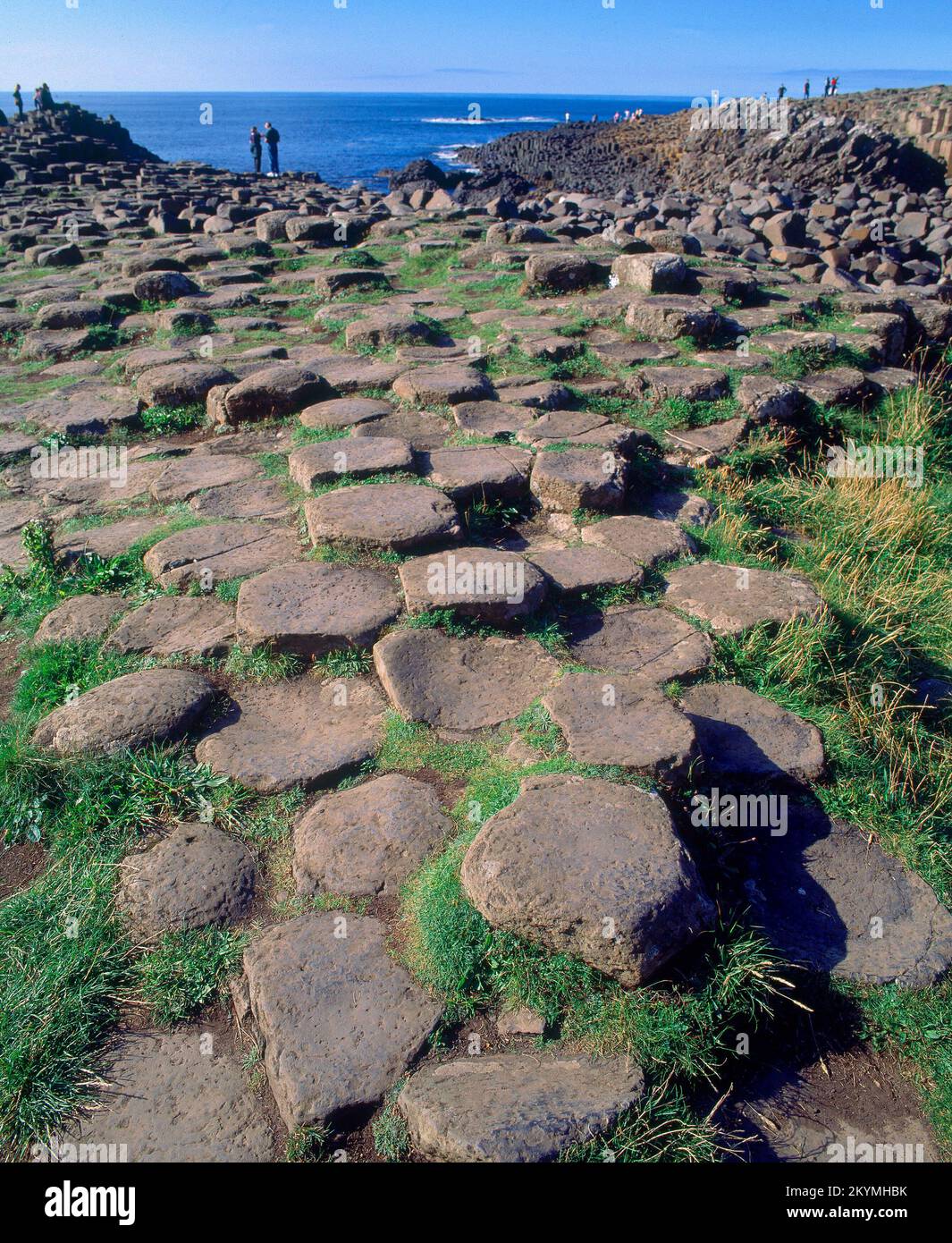 Pernos De Tornillo M10x1.5 20 Piezas Pernos De Cabeza Hexagonal Con Brida De Acero Inoxidable A2‑70 Con Junta Tornillos Hexagonales De Brida DIN6921 ( M10*20