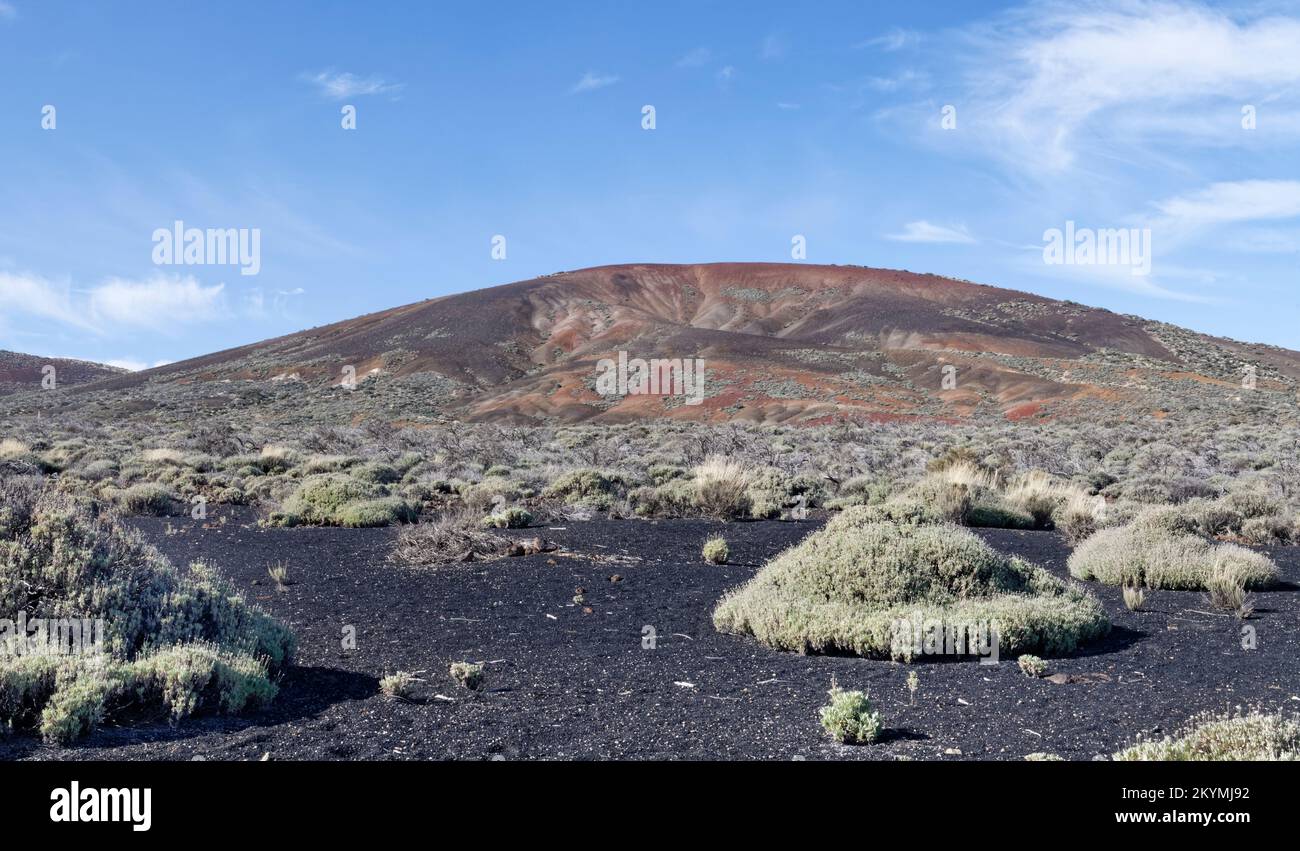 Montana de las Vacas volcano with unstable ash and cinder partially colonised by endemic vegetation, Mount Teide National Park, Tenerife, Canary Islan Stock Photo