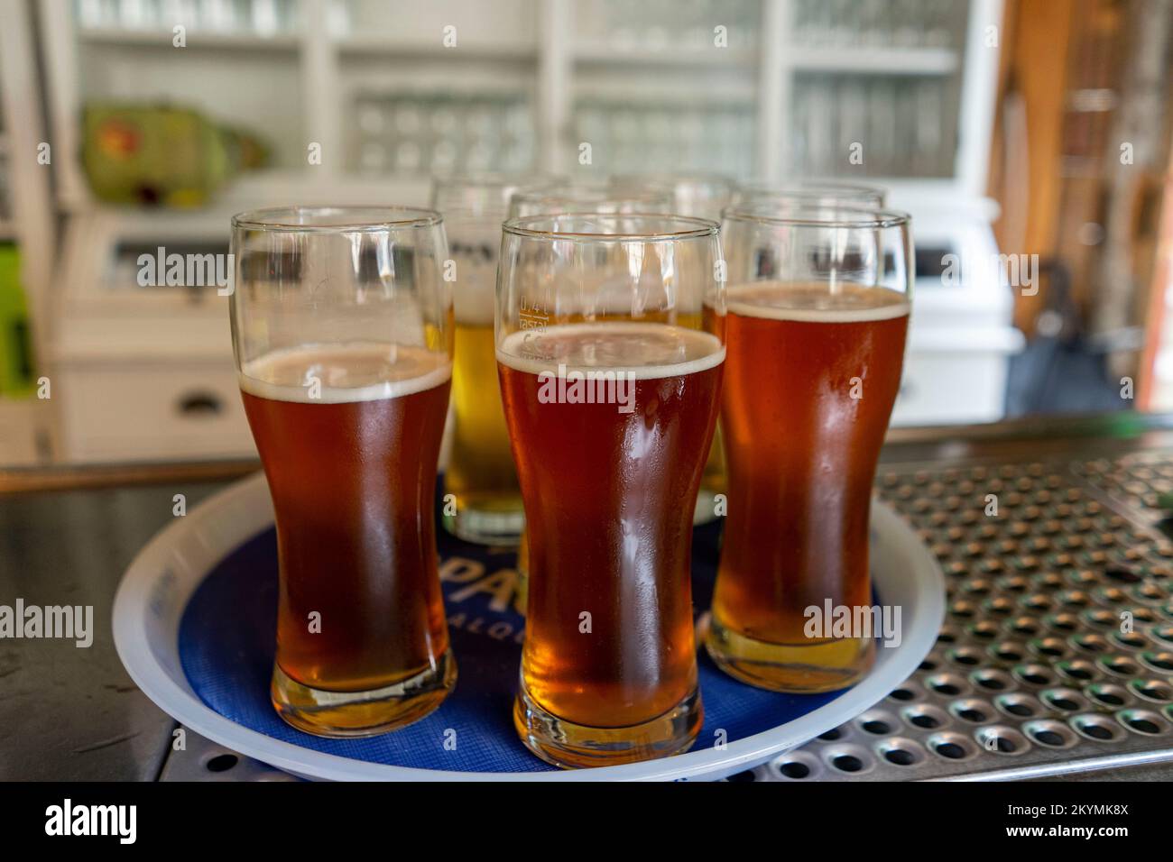 Tray of beers lagers in Germany Stock Photo Alamy