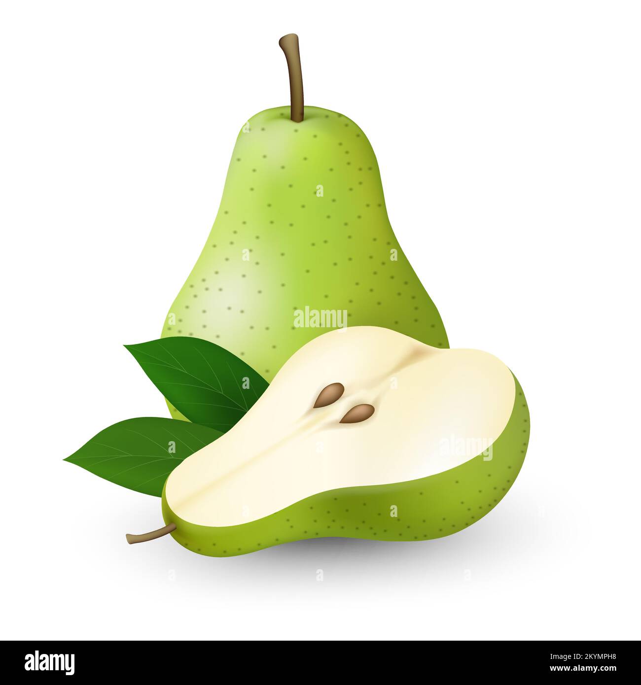 Pears half isolated Stock Vector Image & Art Alamy