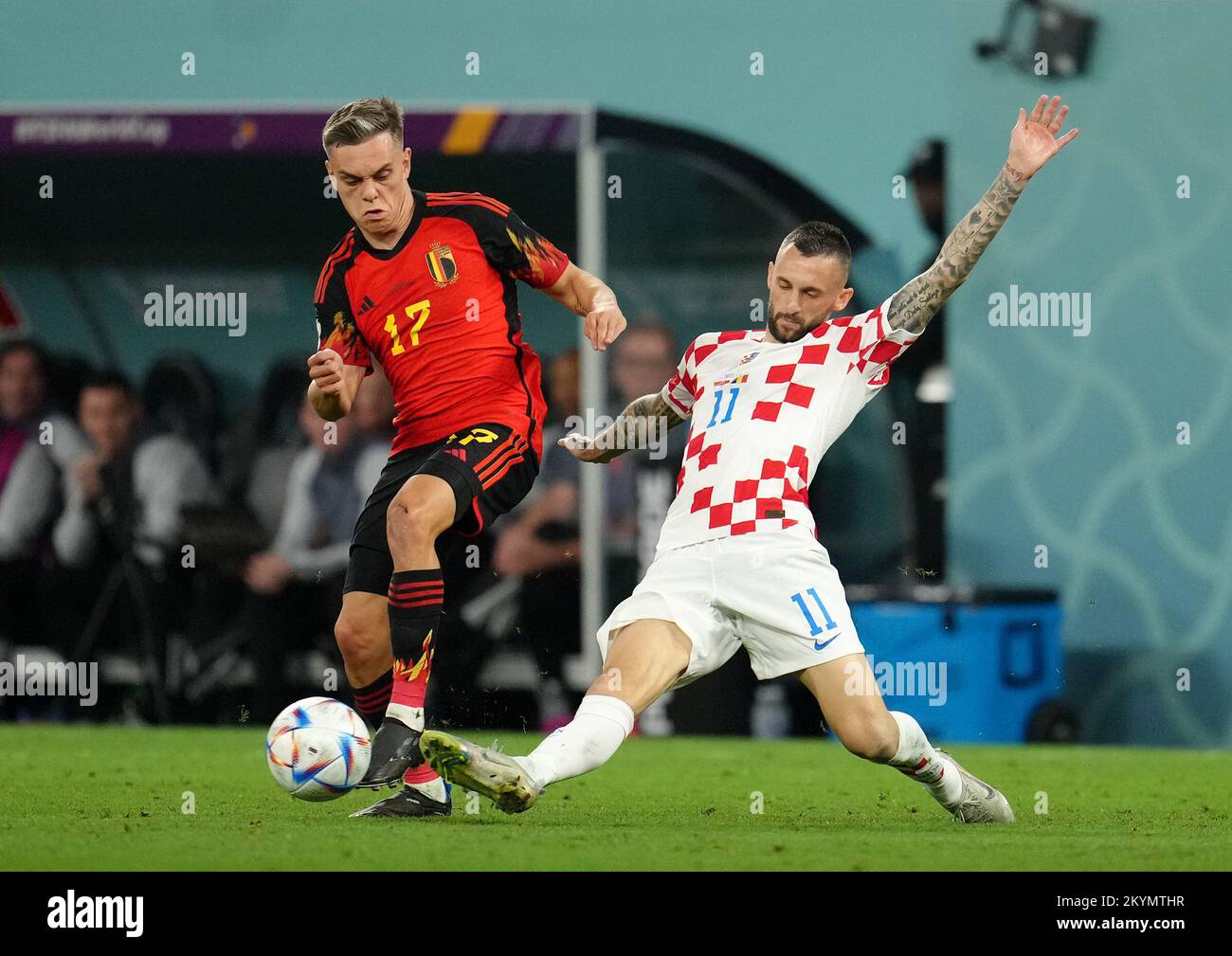 Belgium's Leandro Trossard (left) and Croatia's Marcelo Brozovic battle for the ball during the FIFA World Cup Group F match at the Ahmad Bin Ali Stadium, Al Rayyan, Qatar. Picture date: Thursday December 1, 2022. Stock Photo